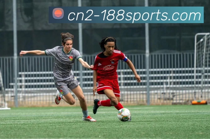 188体育官网平台生态图