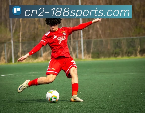 188体育官网全站App